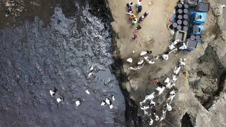 Miles de aves víctimas del vertido de petróleo en Perú
