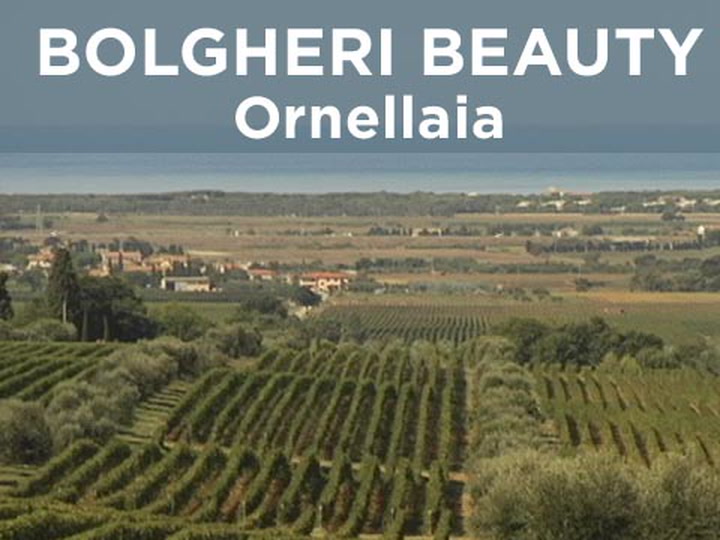 Ornellaia: Tuscany's Bolgheri Beauty