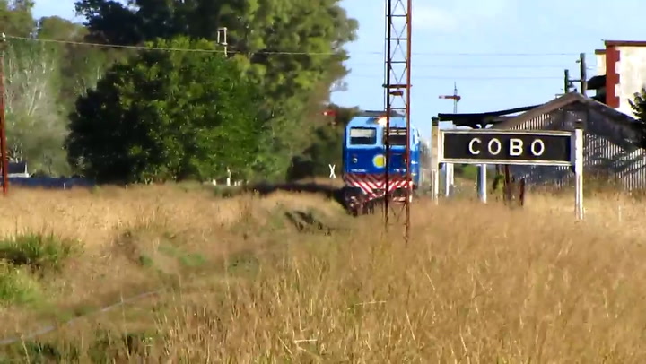 Tren El Marplatense pasando por Cobo