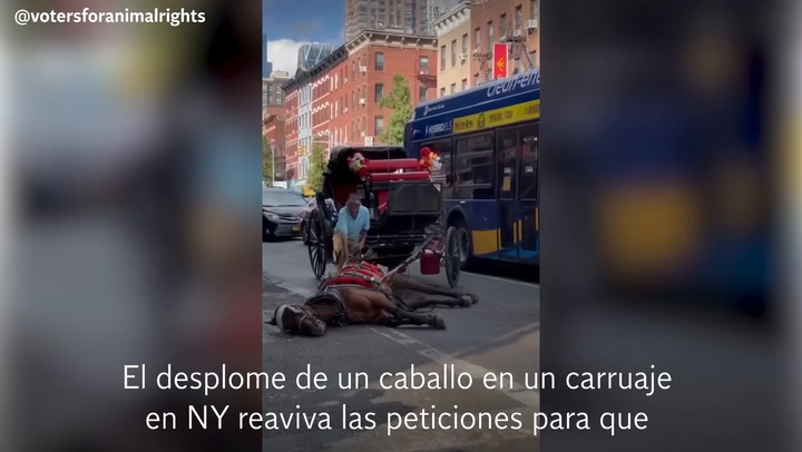 La caída de un caballo en Nueva York reaviva el llamado a la prohibición de los carruajes