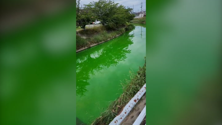River turns fluorescent green in Japan