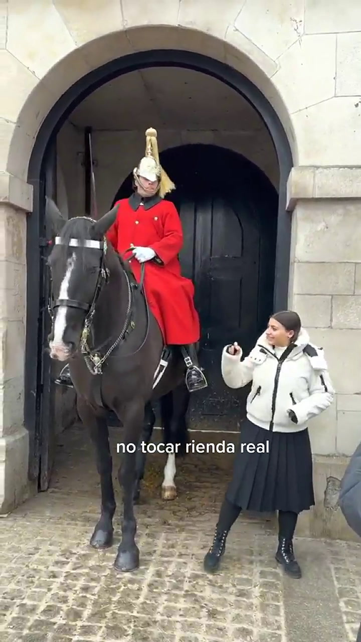 Un guardia real le grita a turista para que suelte la rienda del caballo