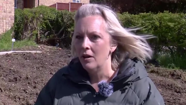 Founder of charity allotment vandalised with salt speaks in first interview
