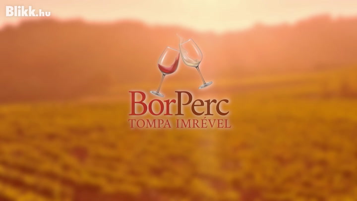 "Mindenki borszakértő olyan értelemben, hogy ízlik vagy nem ízlik!" - a bornyelvről mesél Tompa Imre – BorPerc-videó