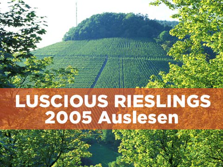 Ripe Rieslings: Germany 2005