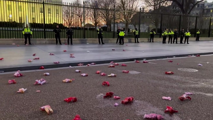 Bloody dolls thrown at White House during Gaza protest