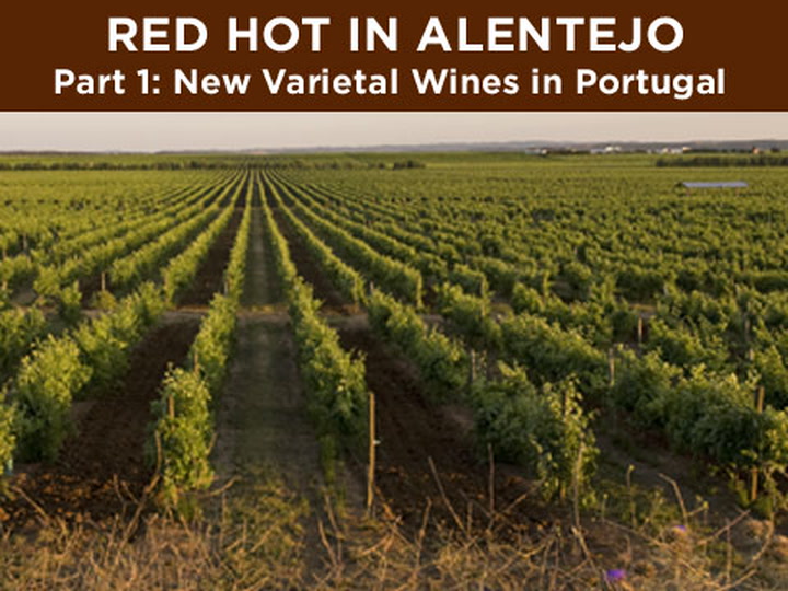 Red Hot Alentejo, part 1: Portugal's New Varietals
