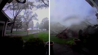 Watch powerful winds flatten neighbourhood trees in seconds