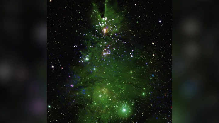 Nasa telescope captures green Christmas tree-shaped cluster of stars lighting up.mp4