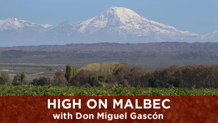 High on Malbec with Don Miguel Gascón
