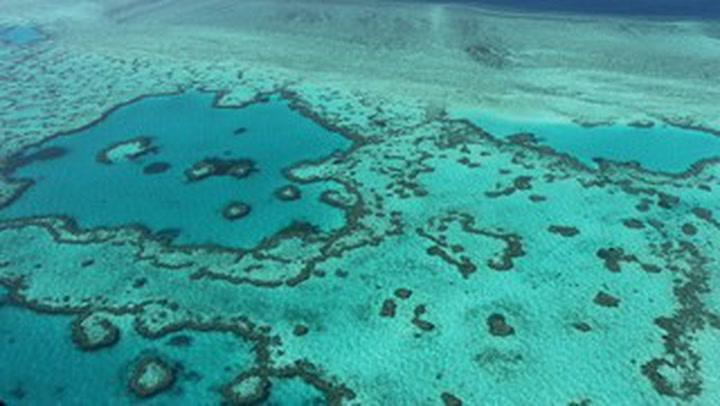Australian government angered after UNESCO reccomends Great Barrier Reef be listed 'in danger'
