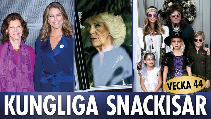 Efterlängtade återföreningen • Camillas ilska • Madeleines kusliga bild – 3 kungliga snacksiar från vecka 44!
