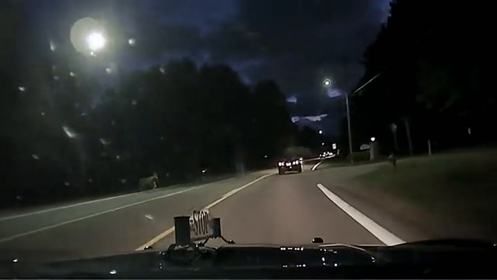 El momento en que un ciervo cruza inesperadamente por la carretera