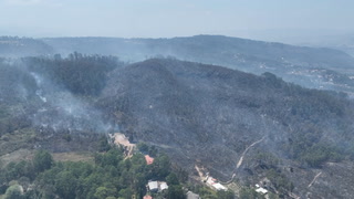 Así luce el bosque de la capital luego de tres fuerte incendios en La Tigre