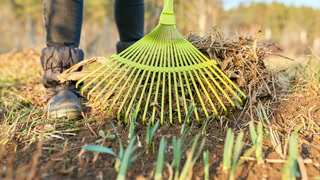 Eager to start gardening? 5 things you can do in March to get ahead