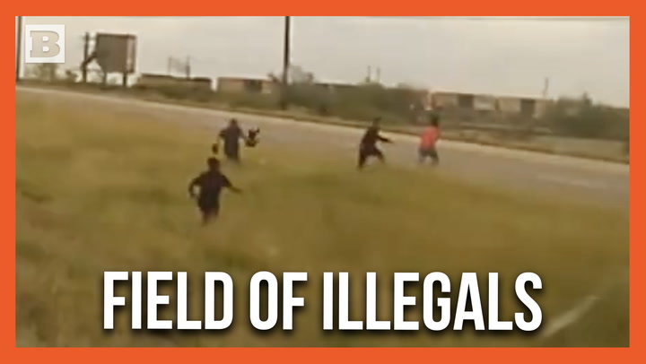 Illegal Immigrants Bolt Out of Car with 