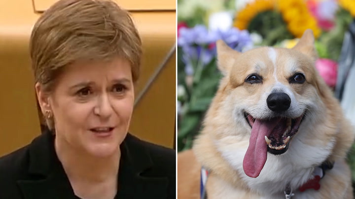 Nicola Sturgeon shares funny story about Queen’s corgi misbehaving
