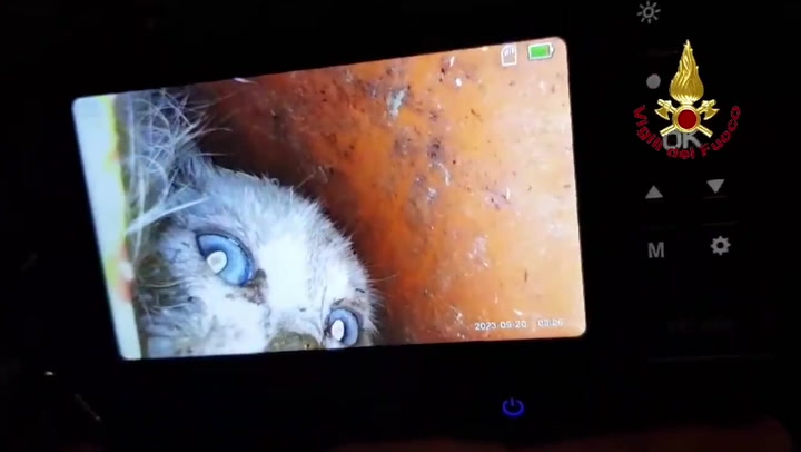 Kitten rescued after getting stuck up water drain pipe