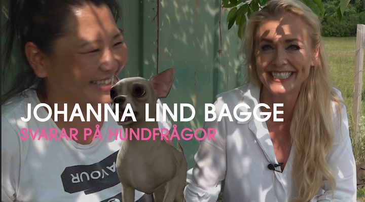 Johanna Lind Bagge svarar på hundfrågor – oväntade svar