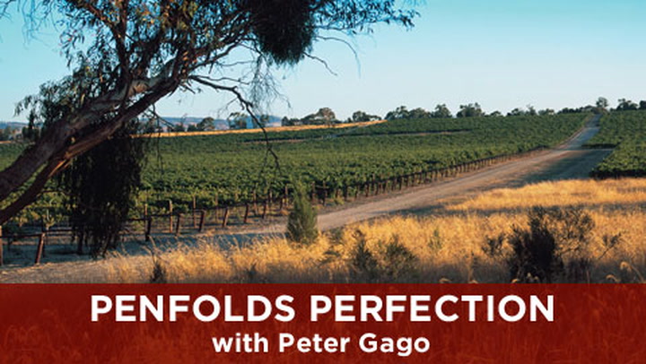 Penfolds Perfection with Peter Gago
