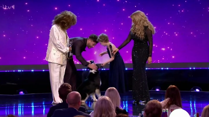 Echo the dog makes history as he receives Pride of Britain Award