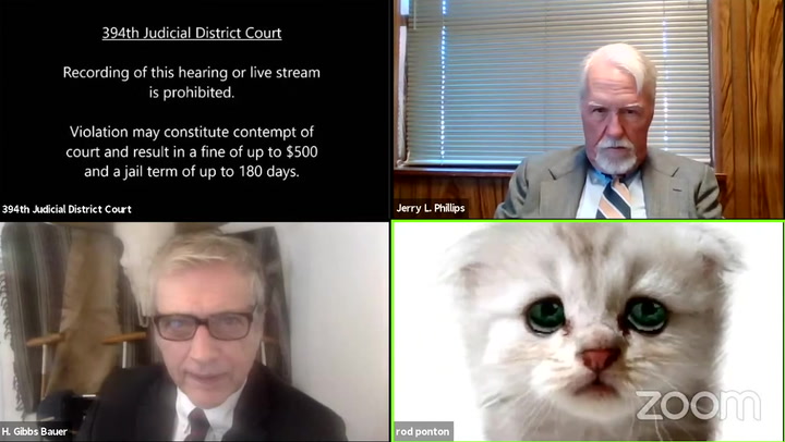 Lawyer Assures Judge He Isn T A Cat After Zoom Filter Faux Pas Editor S Picks Independent Tv