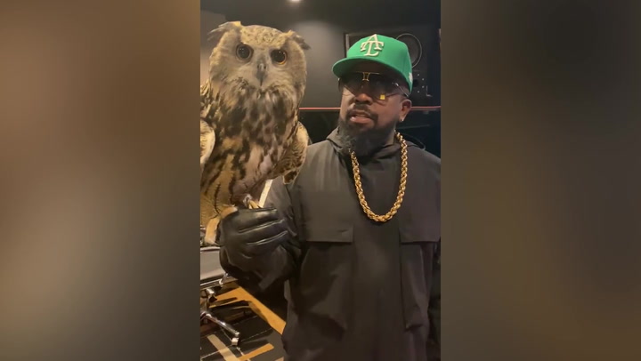 Rapper Big Boi brings pet owl to music studio