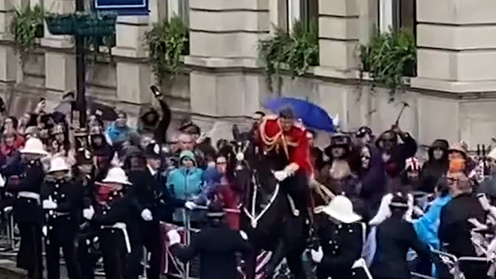 Spooked horse crashes into barrier behind King's carriage