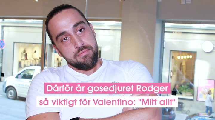 Därför är gosedjuret Rodger så viktigt för Valentino: "Mitt allt"