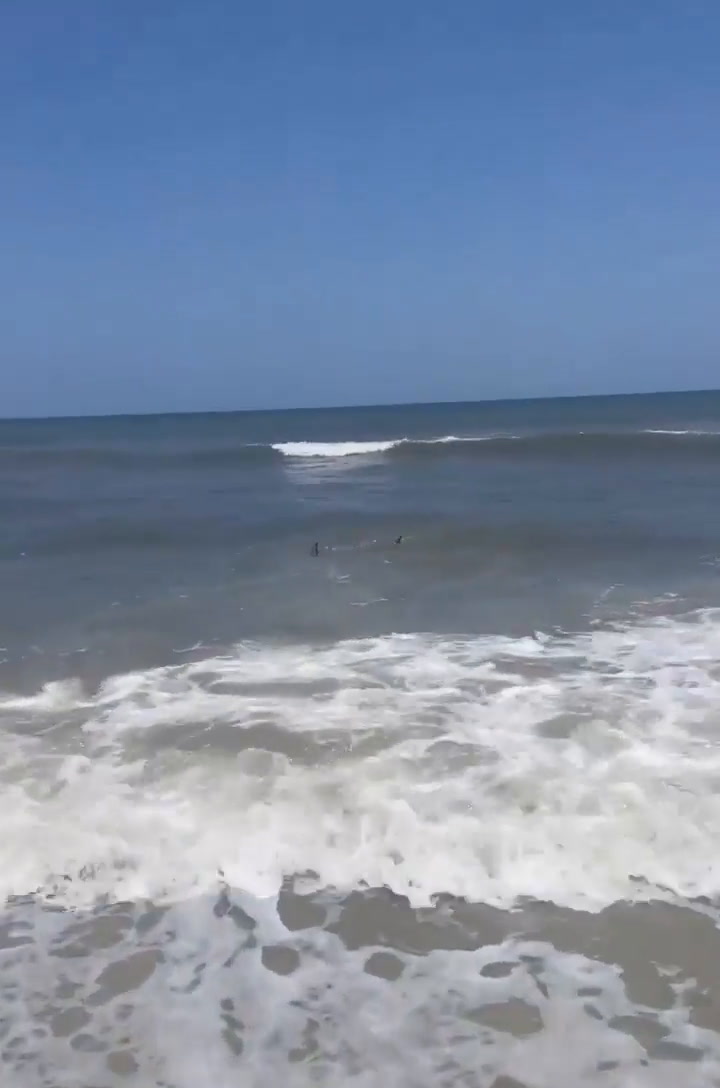 El instante en el que una mujer descubre a un par de tiburones nadando en Neptune Beach