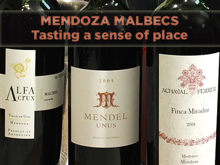 Mendoza Malbecs: Tasting a Sense of Place