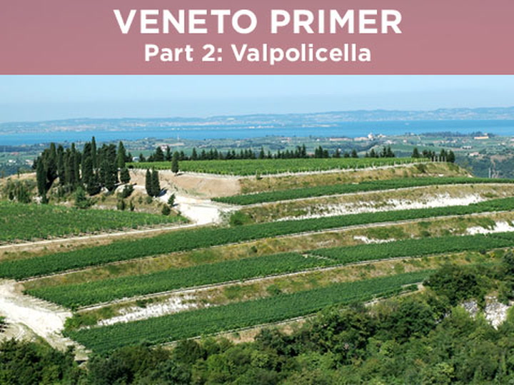 Veneto Primer: Valpolicella 101 with Allegrini