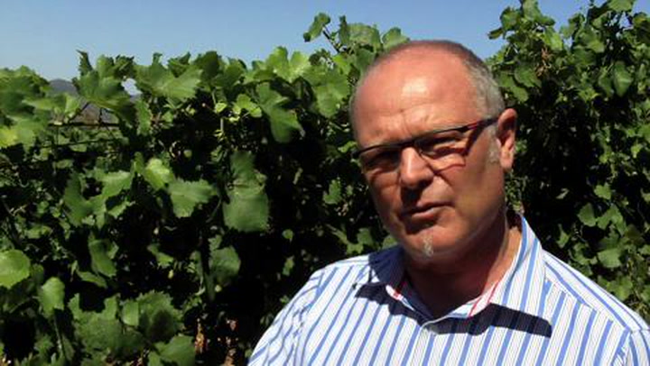 In the Vineyard at Ataraxia: Establishing a Vineyard