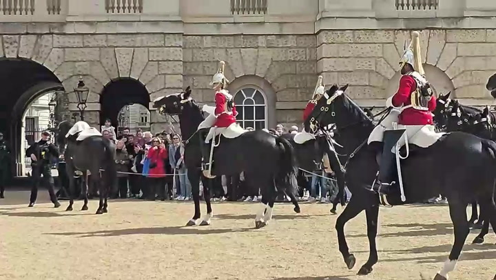 Household Cavalry horse bolts as rider thrown to ground in new London incident