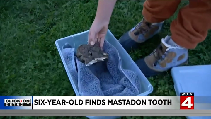 Six-year-old boy finds prehistoric fossil on walk