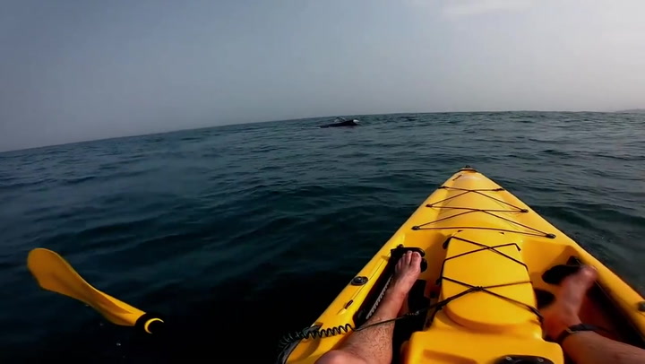 Kayaker films breathtaking close encounter with whale and her calf