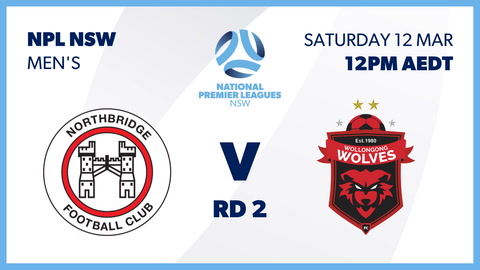 12 March - Round 2 NPL NSW Men's - Northbridge v Wollongong Wolves