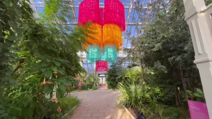Kew Gardens transformed for Mexican festival