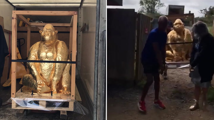 45kg chocolate gorilla arrives at Bristol Zoo to be put on display