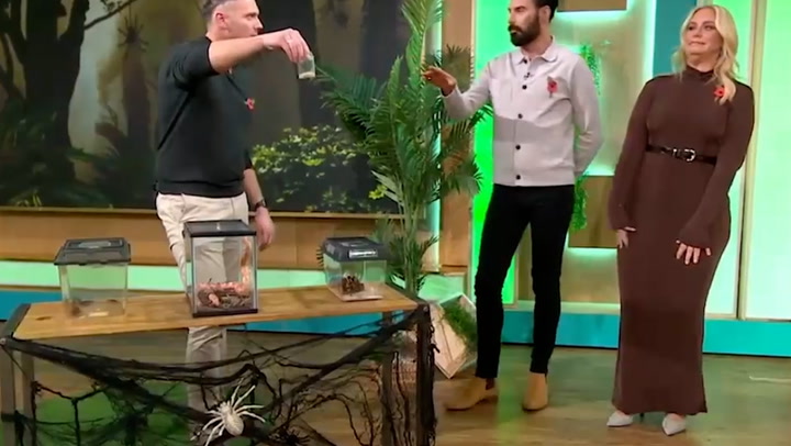 Josie Gibson screams at spiders and snakes after presenter revealed as I'm A Celebrity contestant