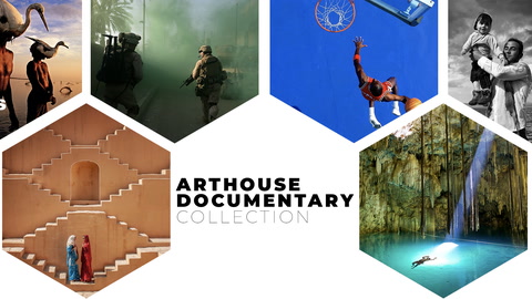 Arthouse Documentary Collection