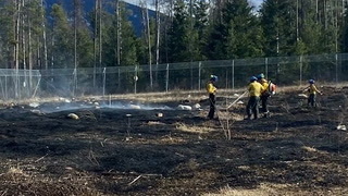 Alberta forests put under fire advisory after blaze in Jasper