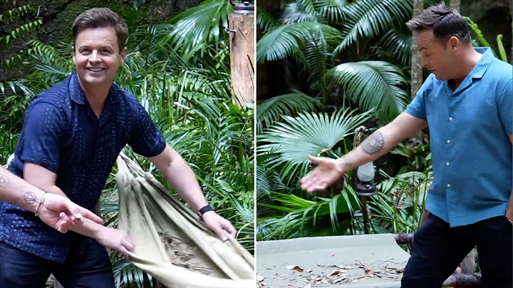 Ant and Dec share first-look at I'm A Celebrity jungle camp