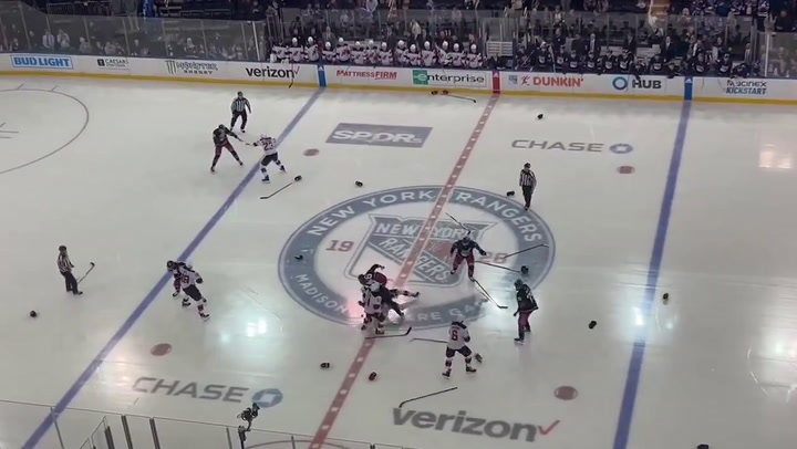 Brutal pelea en la liga estadounidense de hockey sobre hielo