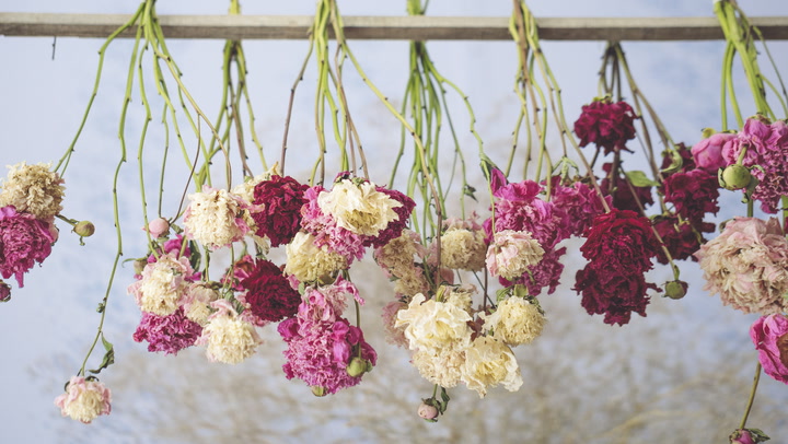 How to Create Beautiful Dried Flowers to Enjoy Year-Round