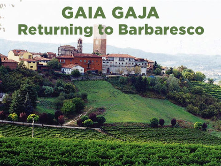 Gaia Gaja: Returning Home