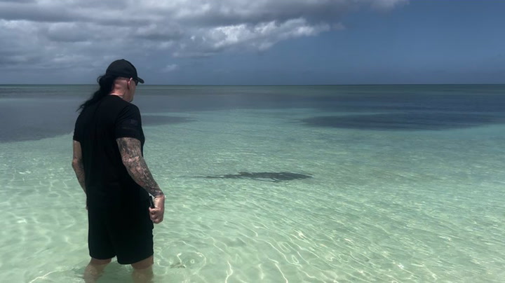 The Undertaker manages to protect wife from rare shark by just staring at it
