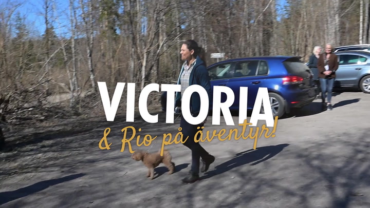 Rio stjäl showen – Victoria på utflykt med hunden!