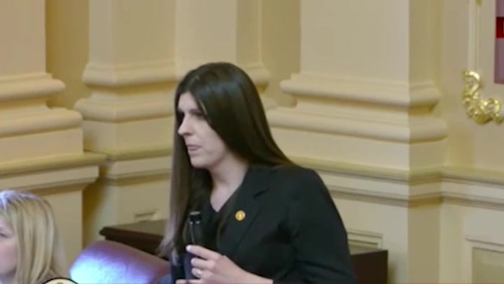 Trans Virginia lawmaker storms out of chamber after being called ‘sir’ (independent.co.uk)