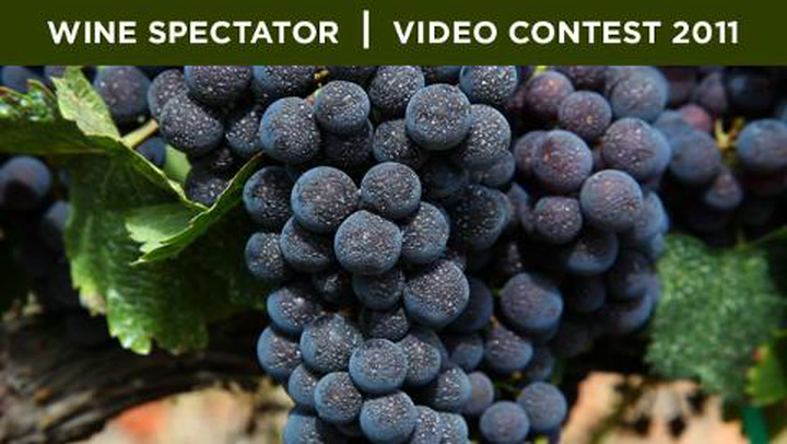 Video Contest 2011, 3rd Place: The Talking Grape